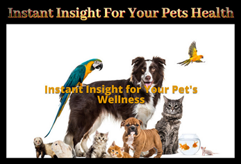 Instant Insight for Your Pets Health COM